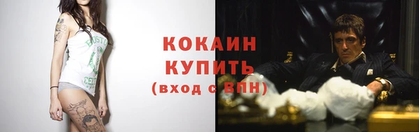 спайс Гусь-Хрустальный
