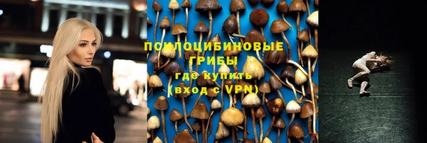 скорость Дмитров