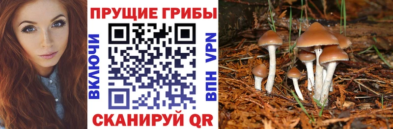 Галлюциногенные грибы MAGIC MUSHROOMS  Рыбинск 